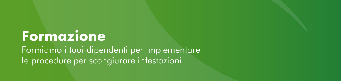 Derattizzazione Disinfestazione Disinfezione Napoli