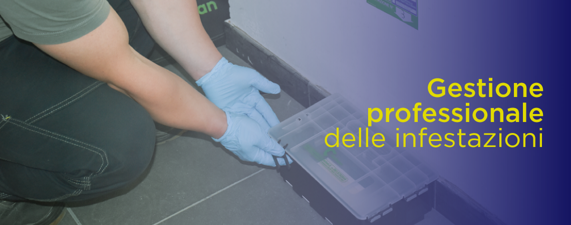 Derattizzazione Disinfestazione Disinfezione Napoli